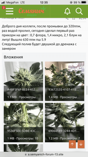 1D113A08-6B10-4E45-83EE-DBA33C53B7C3.png