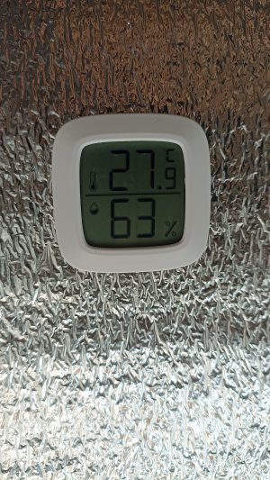 IMG_20230310_073635.jpg