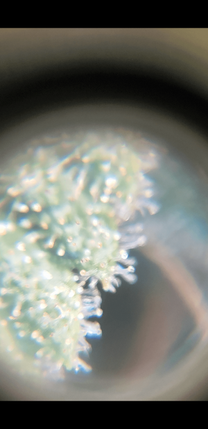 S30311-103634.png
