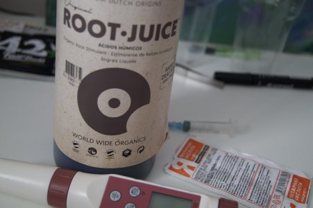DSC04573.jpeg