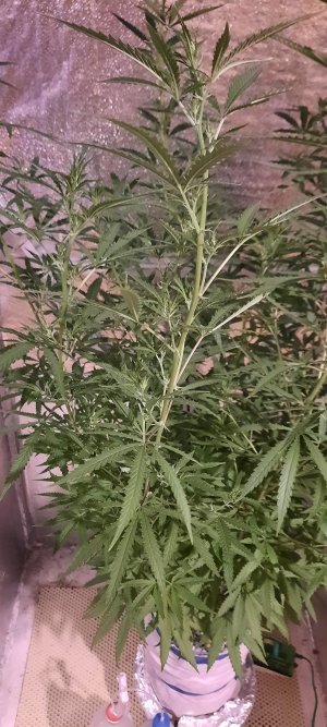 20230414_161808.jpg