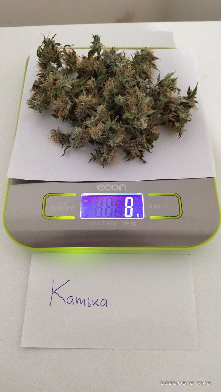 Катя.jpeg