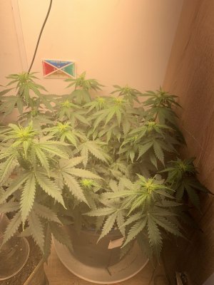 IMG_1032.jpeg