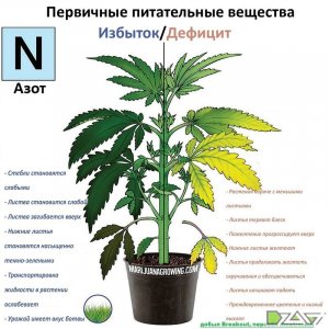IMG_20230629_171440_701.jpg