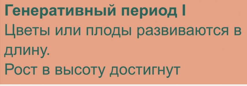 8CD4F096-D1B9-4E07-9227-566FF95C7006.jpeg 8CD4F096-D1B9-4E07-9227-566FF95C7006.jpeg