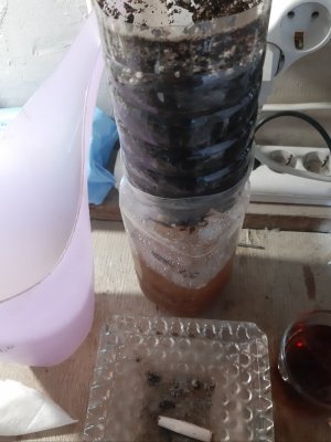 20230712_194135.jpg