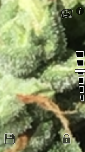 D3E108B1-117B-434C-A812-307251229E20.png