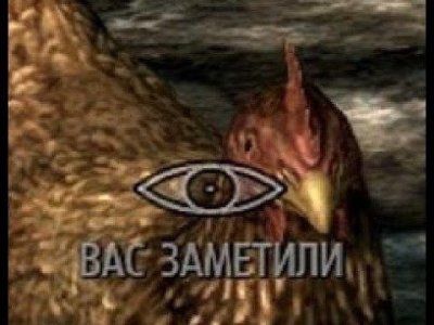 IMG_0983.jpeg IMG_0983.jpeg