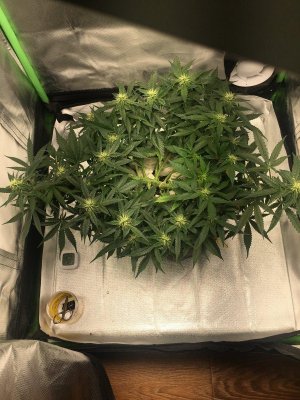 27780965-D9D2-4445-8196-87180C526F5E.jpeg