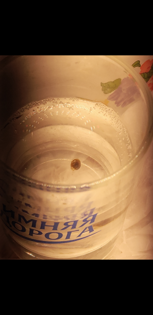 S30725-151036.png