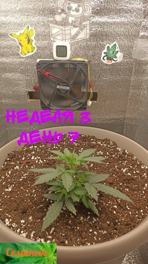 Picsart_23-08-27_07-53-16-351.jpg Picsart_23-08-27_07-53-16-351.jpg