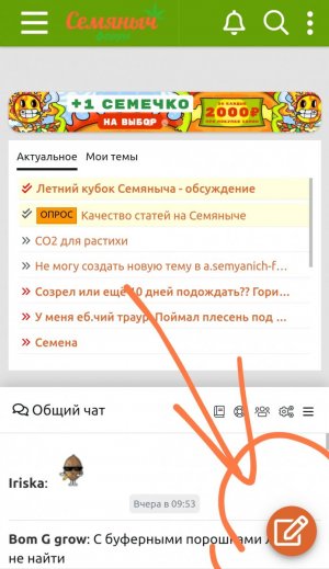 Screenshot_2023-08-29-19-07-42-490_com.yandex.searchapp-edit.jpg