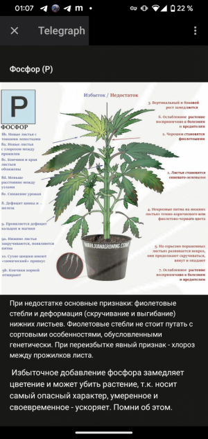 Screenshot_20230907-010705.png