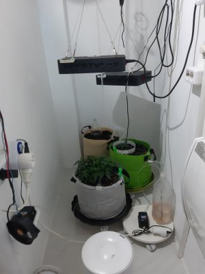 20230910_132107.jpg 20230910_132107.jpg