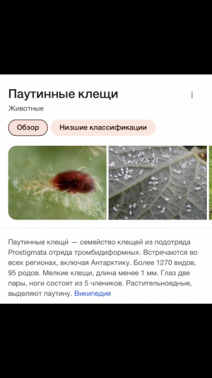 IMG_4445.png