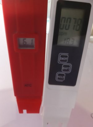 20230604_170729.jpg