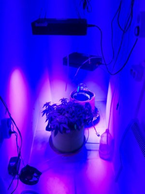 20231014_084245.jpg 20231014_084245.jpg