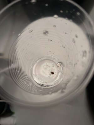 IMG_5958.jpeg IMG_5958.jpeg