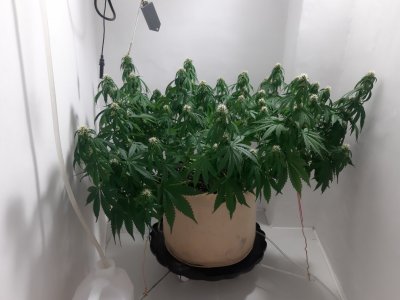 20231022_141609.jpg 20231022_141609.jpg