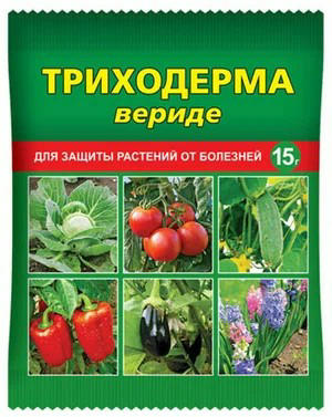 1698062172965.png 1698062172965.png