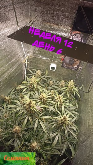 Picsart_23-10-28_11-23-17-957.jpg Picsart_23-10-28_11-23-17-957.jpg