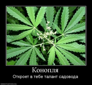 147152238-image.jpeg