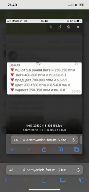 IMG_0015.png