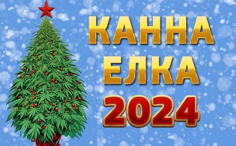 2024.png 2024.png