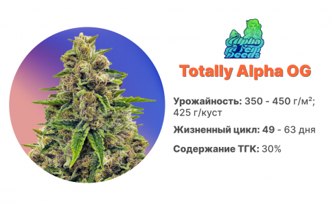  Totally Alpha OG
