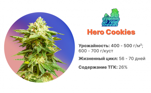 Hero Cookies Hero Cookies