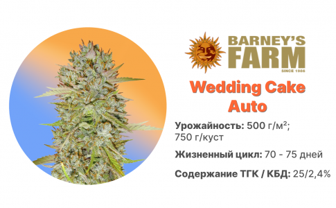 Wedding Cake Auto Wedding Cake Auto
