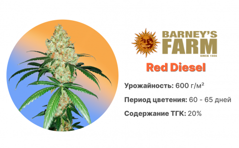 Red Diesel