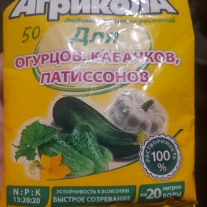 20240128_113538.jpg