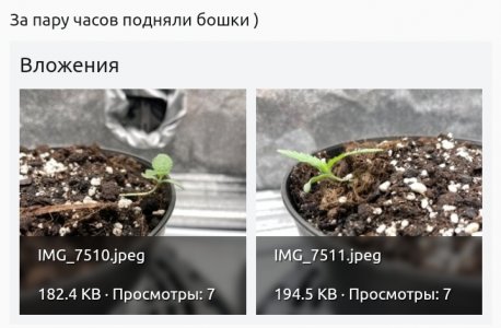 Screenshot_20240202-184513_Chrome.jpg