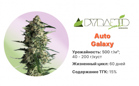 Auto Galaxy Auto Galaxy