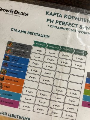 IMG_8195.jpeg