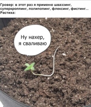 IMG_9145.jpeg