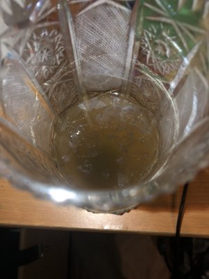 IMG_4524.jpeg