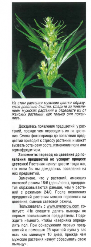 Снимок экрана (150).png