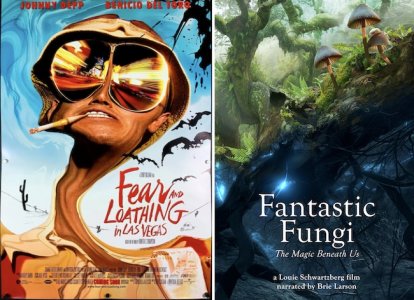 miedo-y-asco-en-las-vegas-1998-_-fantastic-fungi-2019.jpg miedo-y-asco-en-las-vegas-1998-_-fantastic-fungi-2019.jpg