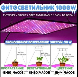 Screenshot_20240315-150533_OZON.jpg