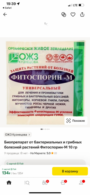 IMG_1238.png