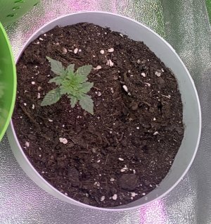 15(?).jpg