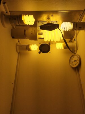 IMG_20240402_213204.jpg