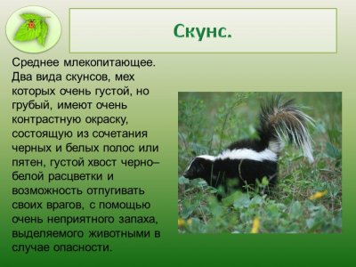 1714063704791.png