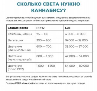 IMG_5902.jpeg