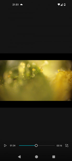 Screenshot_20240509-215110.png