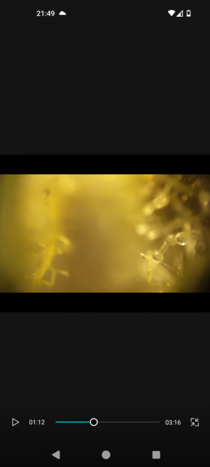 Screenshot_20240509-214924.png