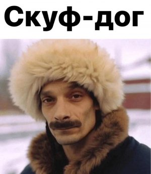 1712645672169657329.jpg