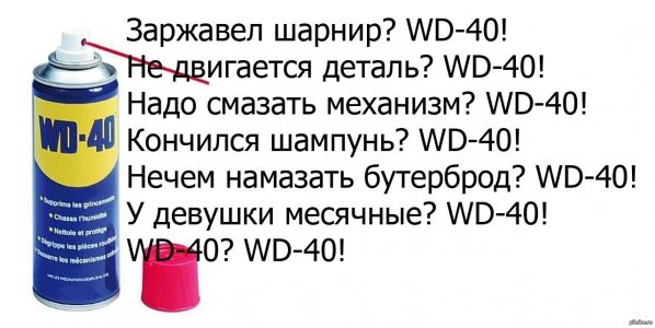 IMG_5551.jpeg